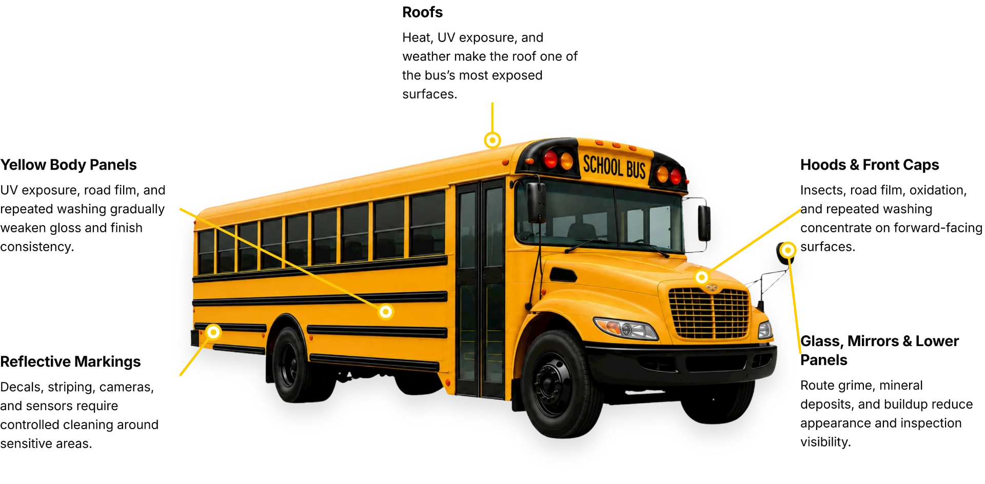 Annotated school bus showing exterior surfaces exposed to fleet wear.